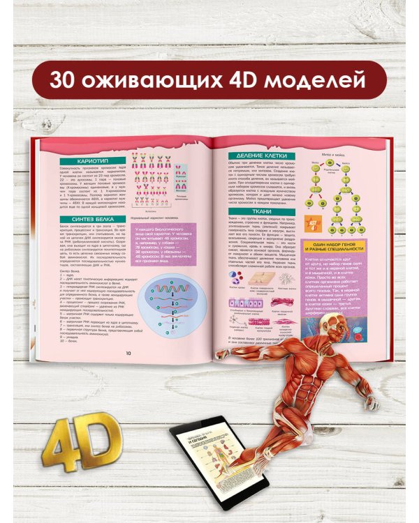 Большой 4D-атлас анатомии человека