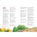 Иллюстрированная Библия для юных читателей (с грифом РПЦ)
