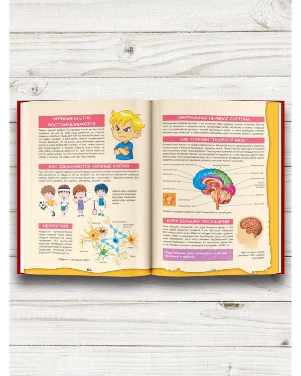 Большой 4D-атлас анатомии человека