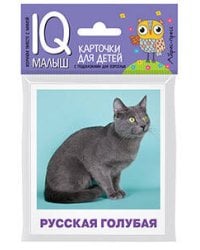 Умный малыш. Породы кошек Набор карточек для детей.