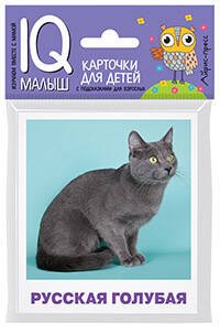 IQ малыш (Айрис) Умный малыш. Породы кошек Набор карточек для детей.