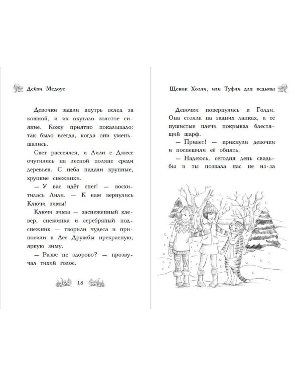 Щенок Холли, или Туфли для ведьмы