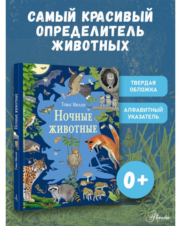 Ночные животные