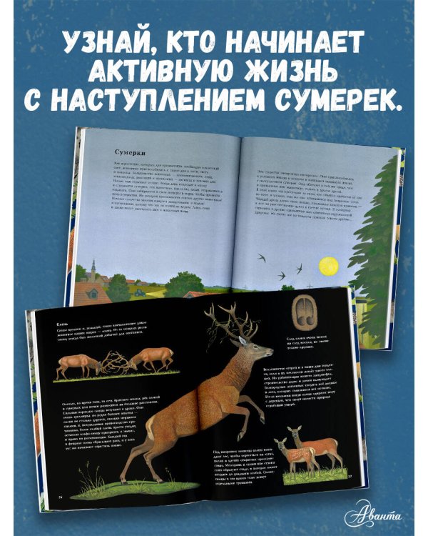 Ночные животные