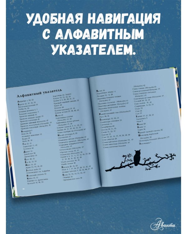 Ночные животные