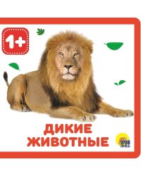 КНИЖКИ НА ПЕНЕ. ДИКИЕ ЖИВОТНЫЕ
