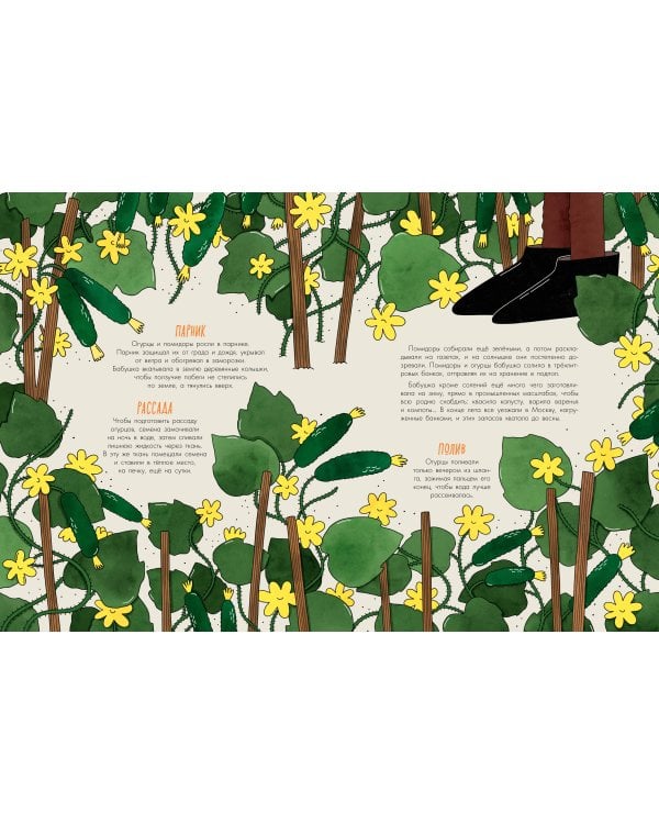 Деревня. История и быт в картинках