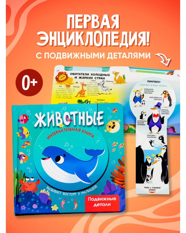 Животные