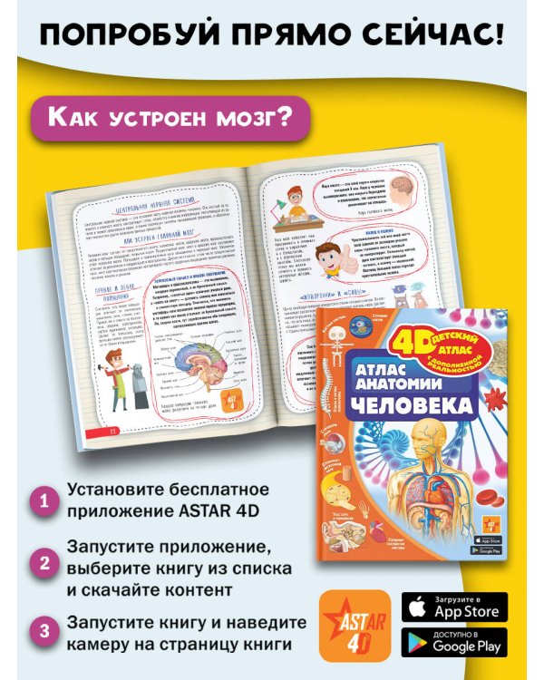 Атлас анатомии человека