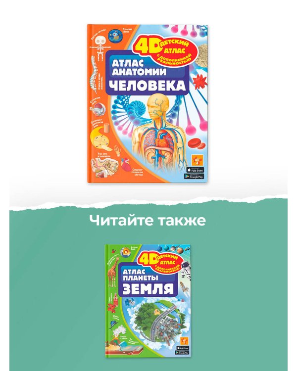 Атлас анатомии человека