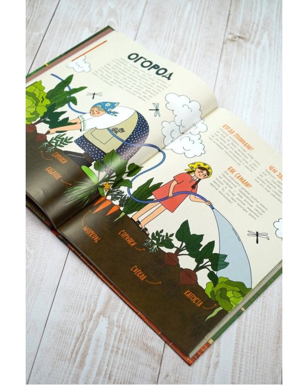 Деревня. История и быт в картинках