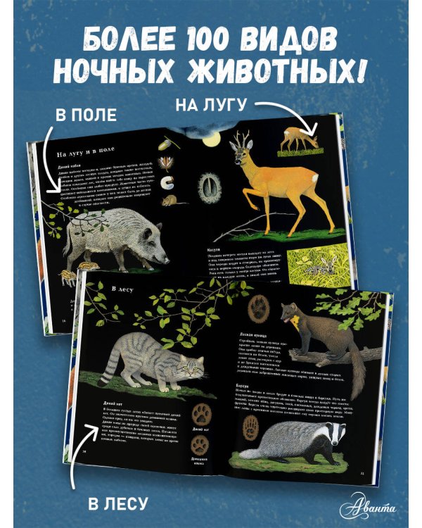 Ночные животные