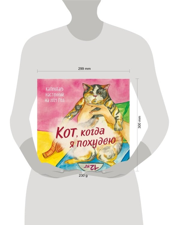 Кот, когда я похудею. Календарь настенный на 2024 год (300х300)