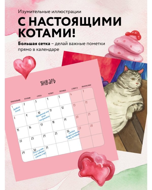 Кот, когда я похудею. Календарь настенный на 2024 год (300х300)