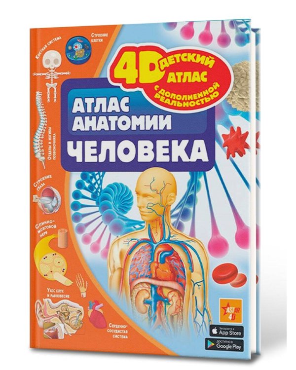 Атлас анатомии человека