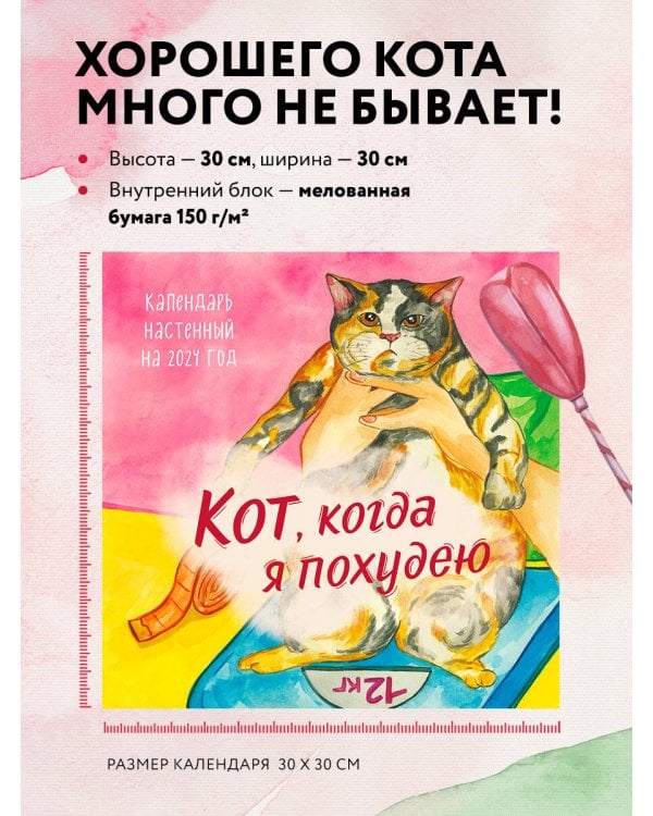 Кот, когда я похудею. Календарь настенный на 2024 год (300х300)