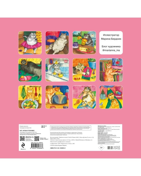 Кот, когда я похудею. Календарь настенный на 2024 год (300х300)