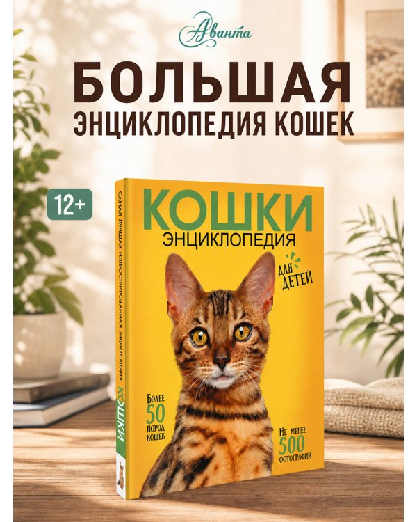 Дополнительное изображение книги «Самая лучшая иллюстрированная энциклопедия. Кошки»