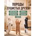 Дополнительное изображение книги «Самая лучшая иллюстрированная энциклопедия. Кошки»