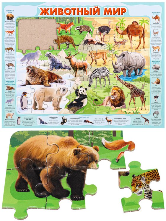 ПАЗЛ-РАМКА (358*278 мм) 60 эл. Животный мир (Арт. П60-8737)