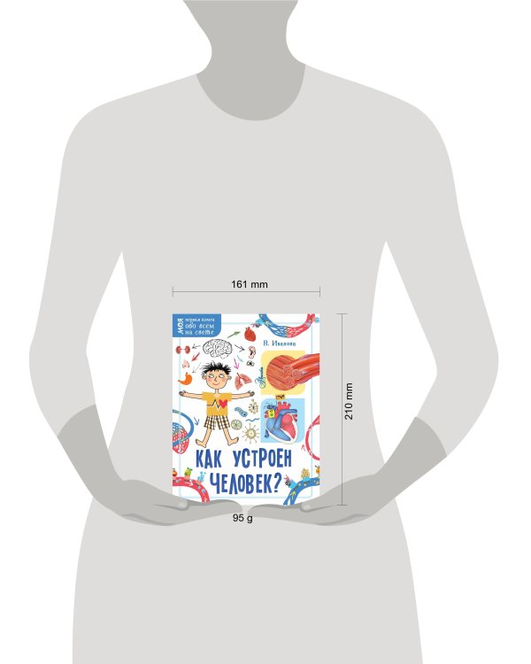 Как устроен человек?