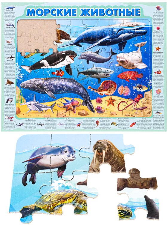ПАЗЛ-РАМКА (358*278 мм) 60 эл. Морские животные (Арт. П60-8739)