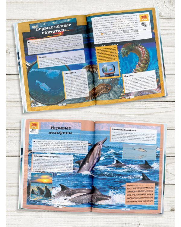 Подводный мир