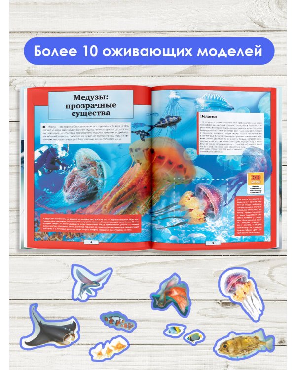 Подводный мир