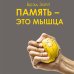 Память - это мышца. Как натренировать мозг, чтобы быстро запоминать и долго помнить