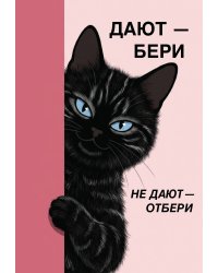 Дают - бери, не дают - отбери! Ежедневник недатированный (А5, 72 л.)