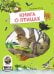 Обложка книги «Книга о птицах. BIObook А. Толмачёва» — Риха Сюзанна, ISBN 9785001166917