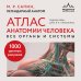 Атлас анатомии человека. Все органы и системы