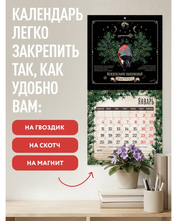 Дополнительное изображение книги «Тайны и магия растений. Календарь настенный на 2027 год (300х300 мм)»