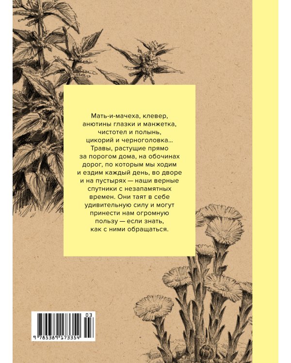 Травы: Природный источник жизненной силы