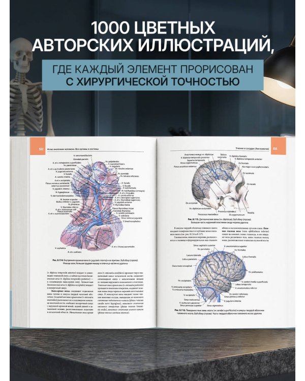 Атлас анатомии человека. Все органы и системы
