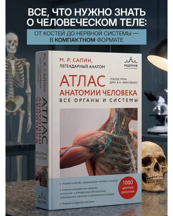 Атлас анатомии человека. Все органы и системы