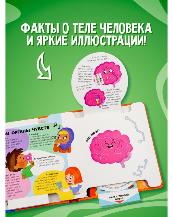 Моё тело