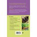 Дачный участок с умным подходом. С чего начать и как организовать участок без ошибок