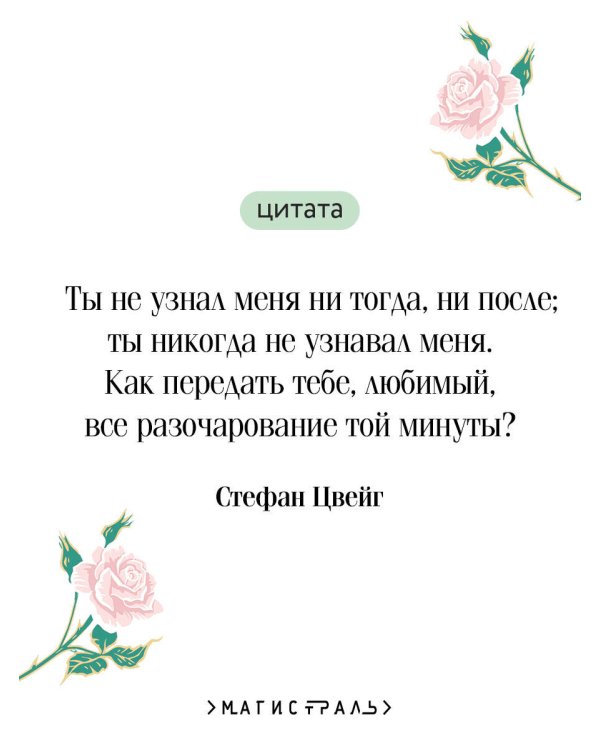 Письмо незнакомки