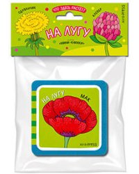 Мини-книжки ЭВА. Что здесь растёт? На лугу
