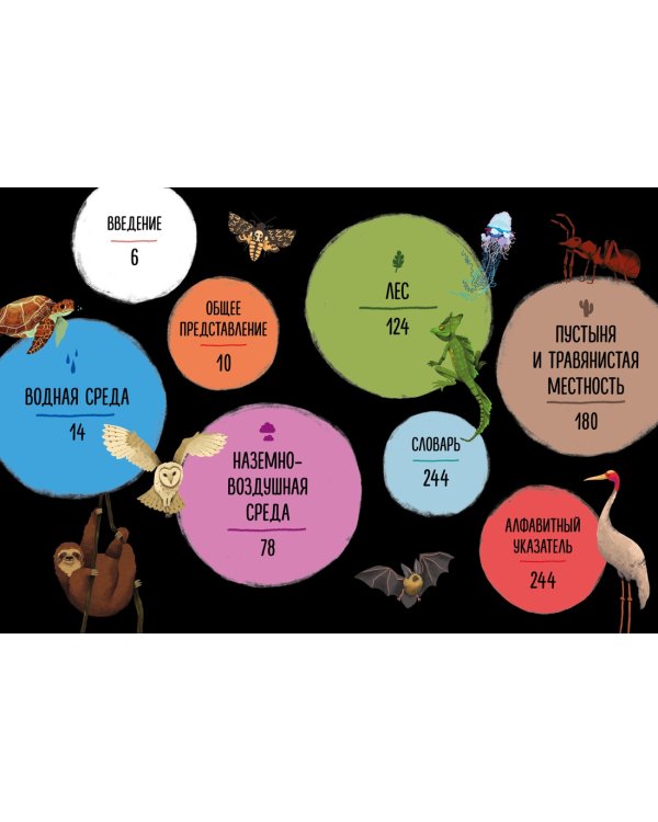 Мир вокруг тебя. Эти невероятные животные!