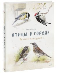 Птицы в городе. Где найти и как узнать