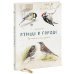Мой первый определитель Птицы в городе. Где найти и как узнать
