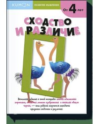 Развитие мышления. Сходство и различие (от 5 лет)