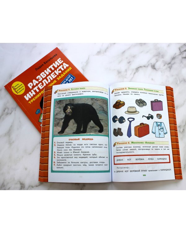 Развитие интеллекта (пособие+рабочая тетрадь): для детей 6-7 лет