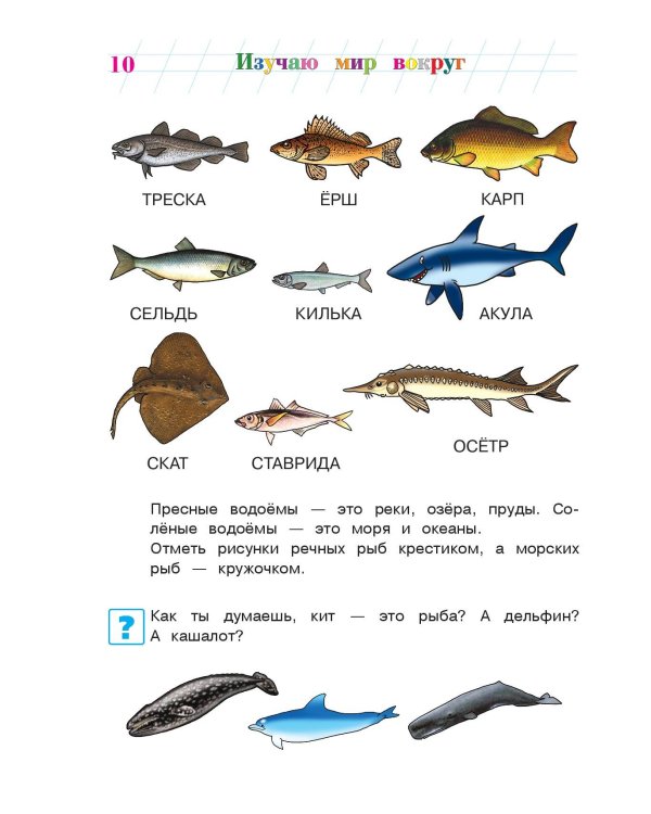 Изучаю мир вокруг: для детей 5-6 лет. Ч. 2