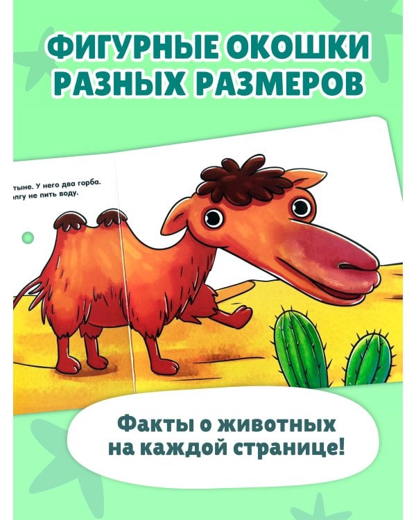 Дополнительное изображение книги «Загляни в окошко! Милые животные»
