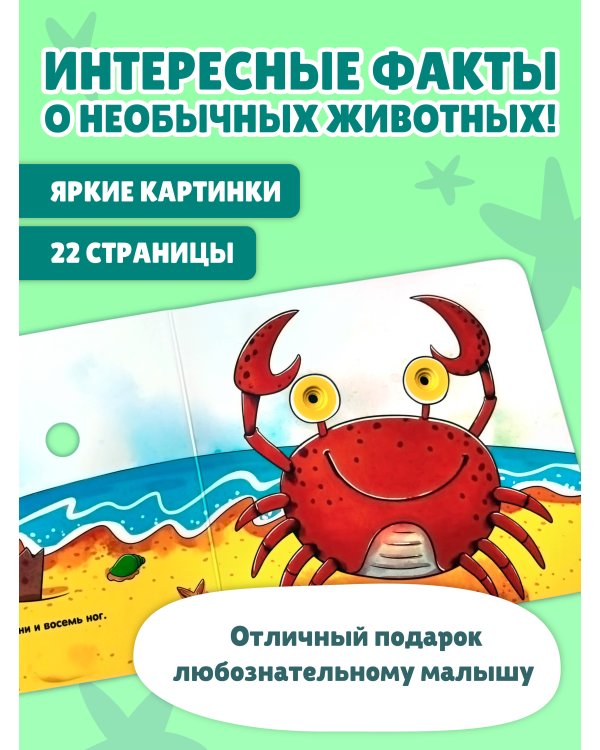 Дополнительное изображение книги «Загляни в окошко! Милые животные»