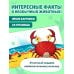 Дополнительное изображение книги «Загляни в окошко! Милые животные»