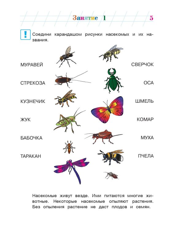 Изучаю мир вокруг: для детей 5-6 лет. Ч. 2